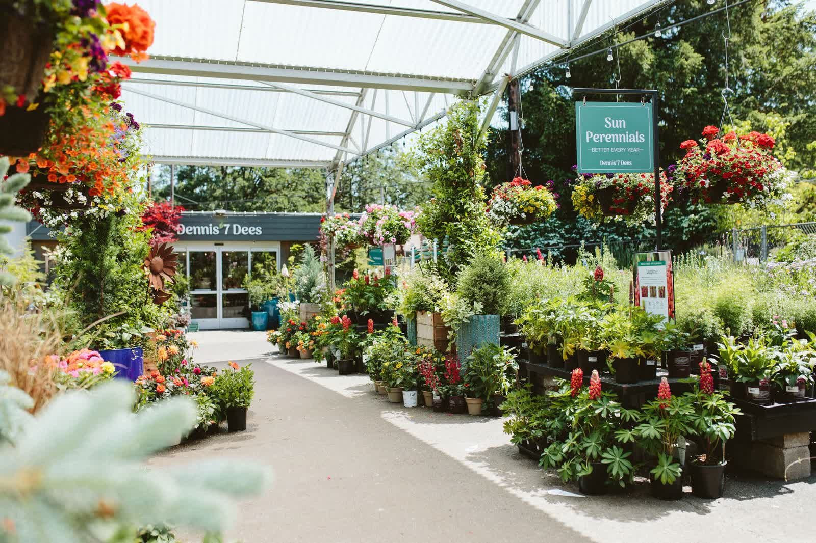 Perennials and Annuals Display at Dennis' 7 Dees Garden Center