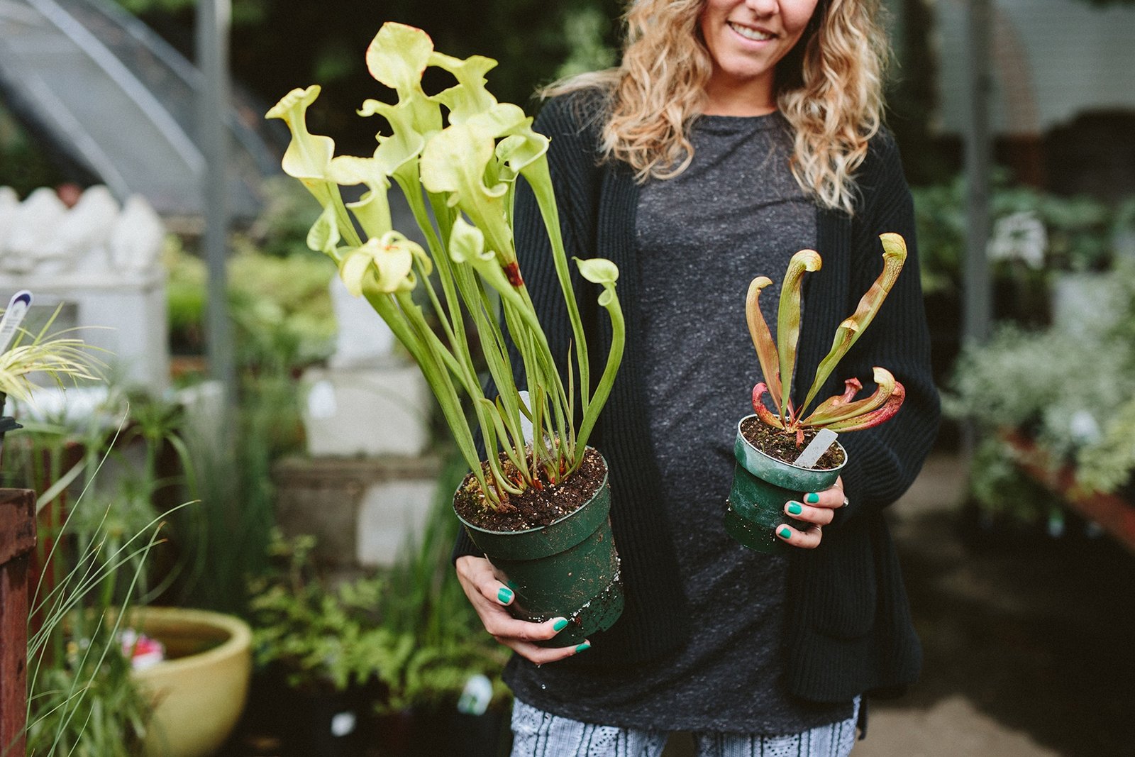 carnivorous plants at Dennis' 7 Dees Garden Center