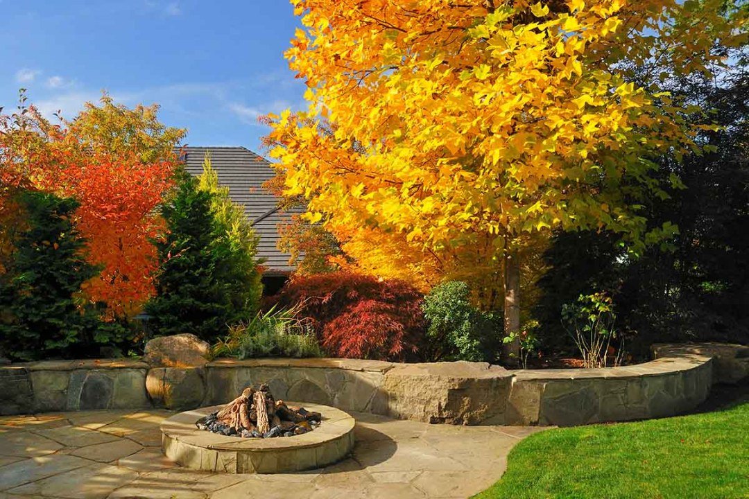 stone fire pit and fall color by Dennis' 7 Dees