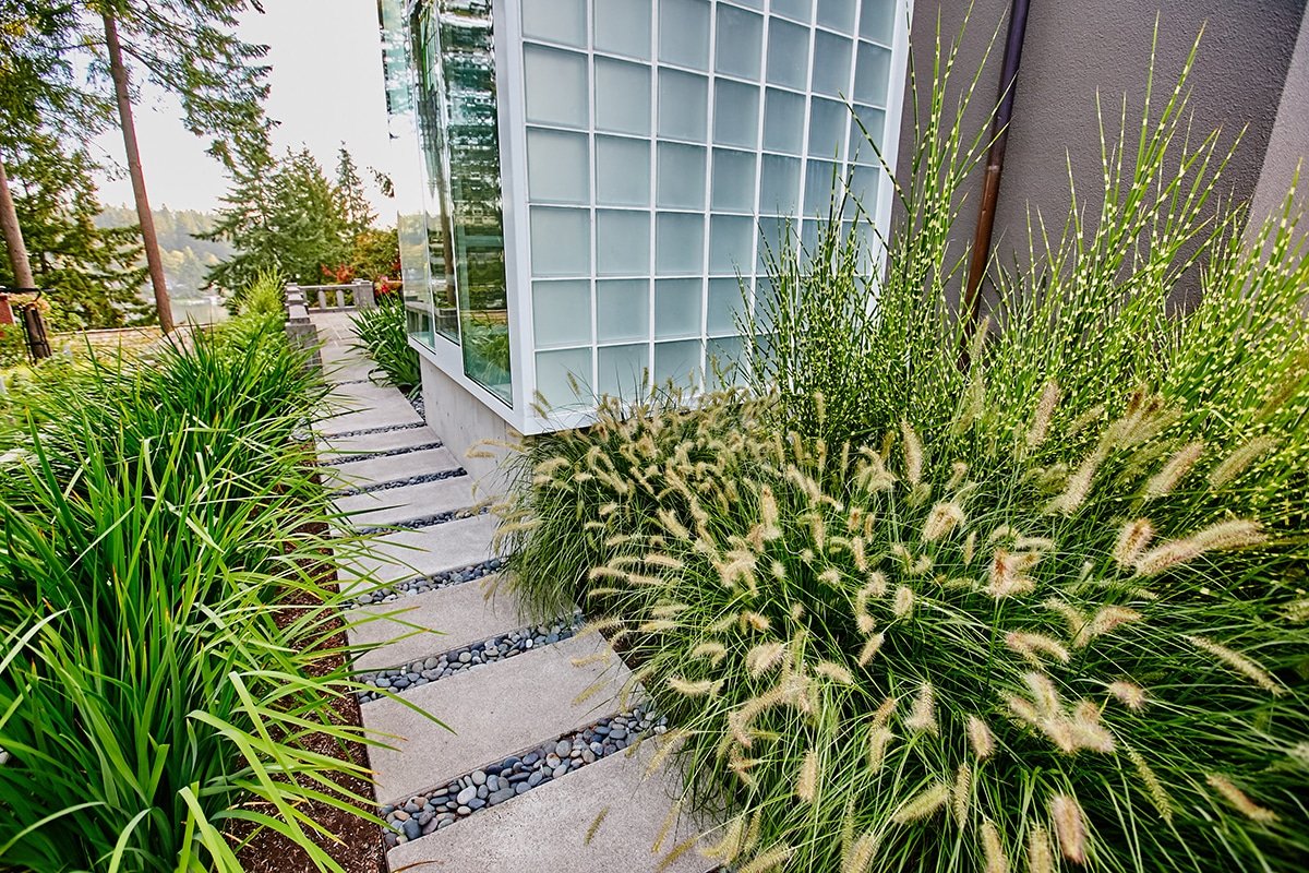 ornamental grasses in a landscape