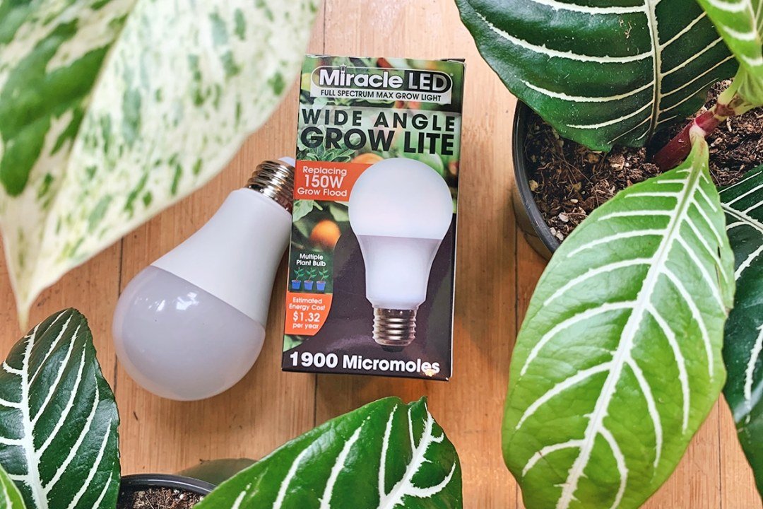 Indoor LED Grow Lights