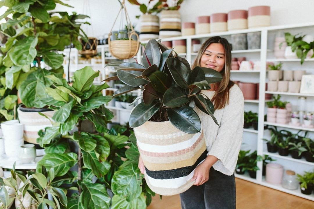 Photo of employee holding a rubber tree in our brideport location