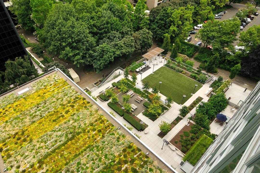 drone photo of green roof and apartment outdoor patio landscape design