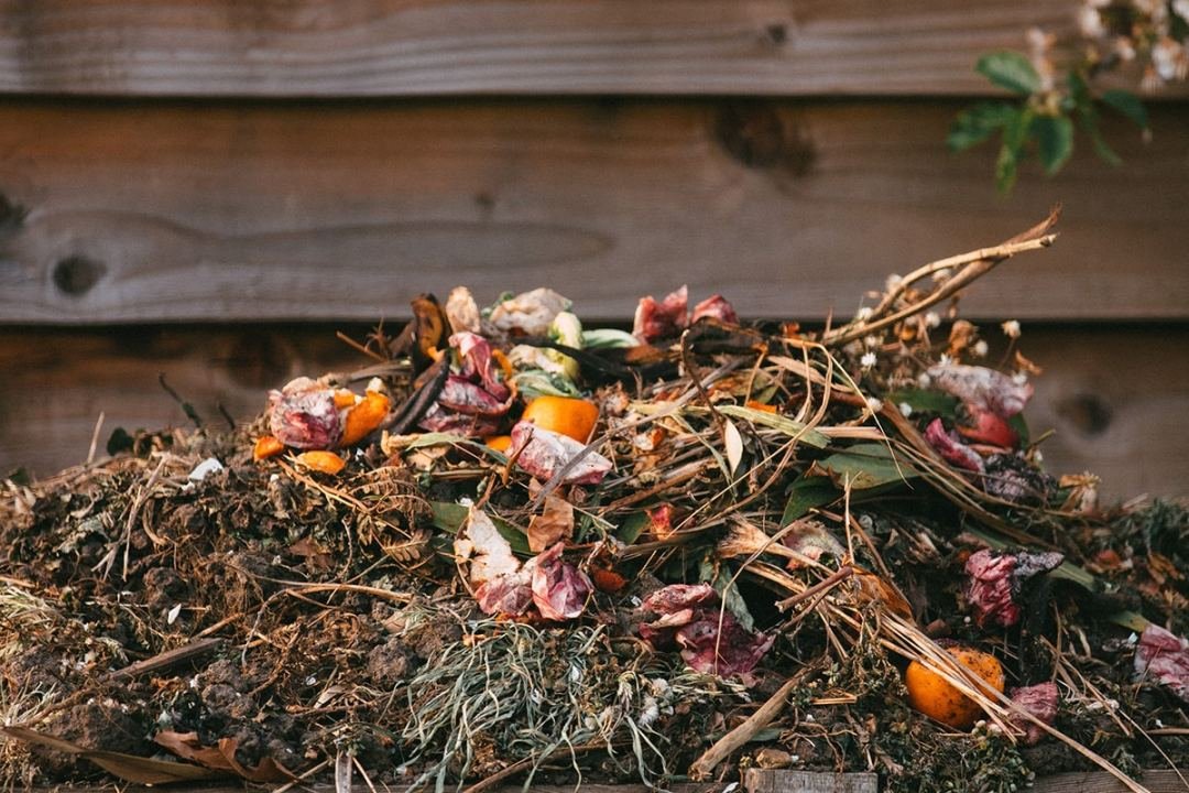 A pile of food and yard compost