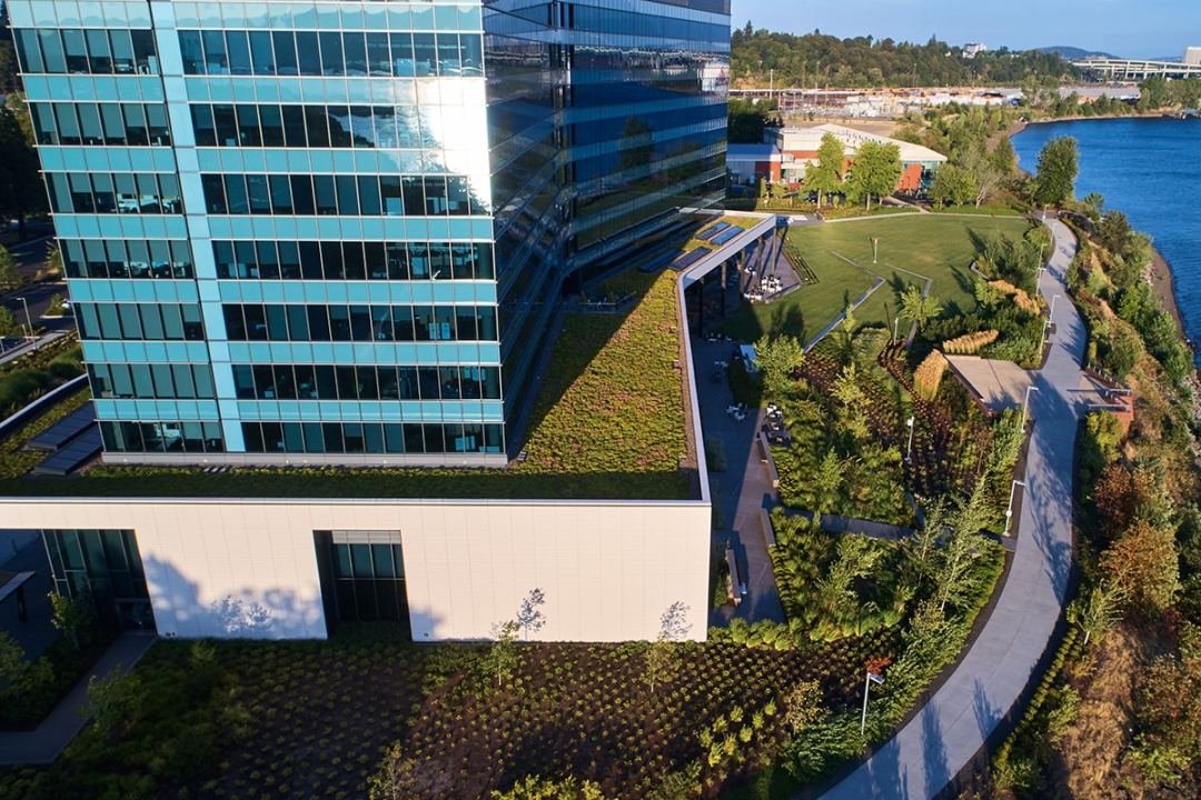 drone image of diamler landscape design and green roof we completed