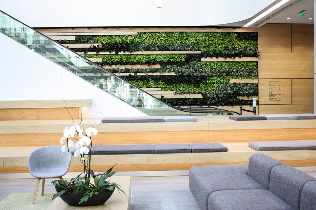 Showcasing a living wall and orchid display