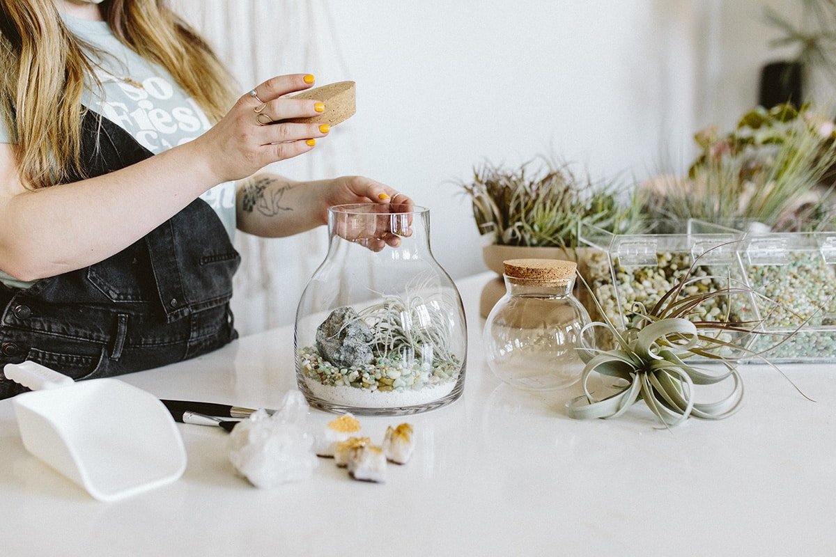 DIY terrarium or aerium workshop