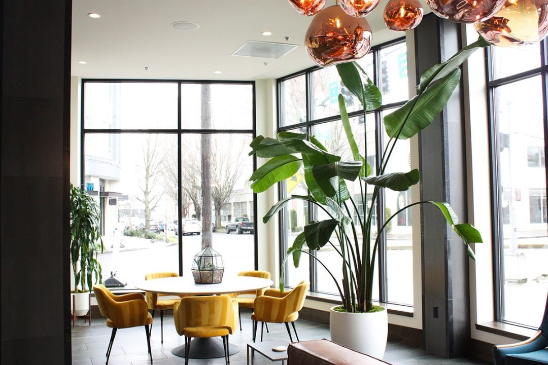 photo of apartment lobby plant installation