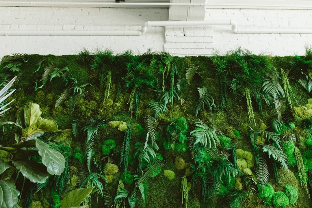 moss wall details