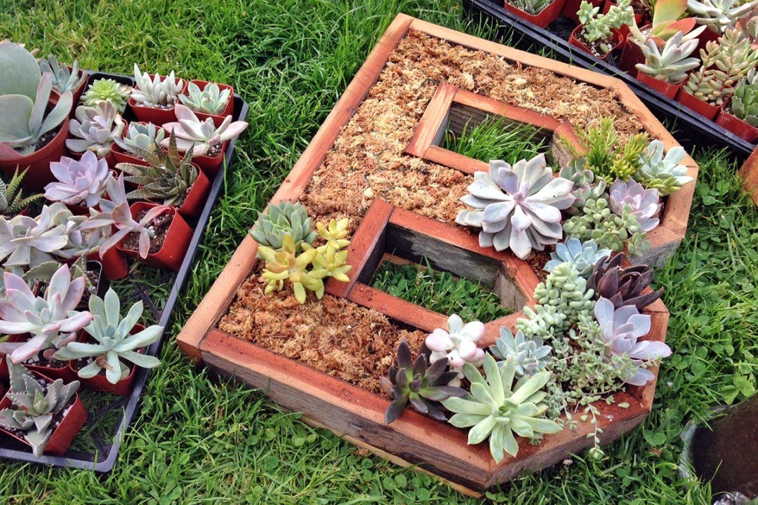 succulent letter B wall hanging