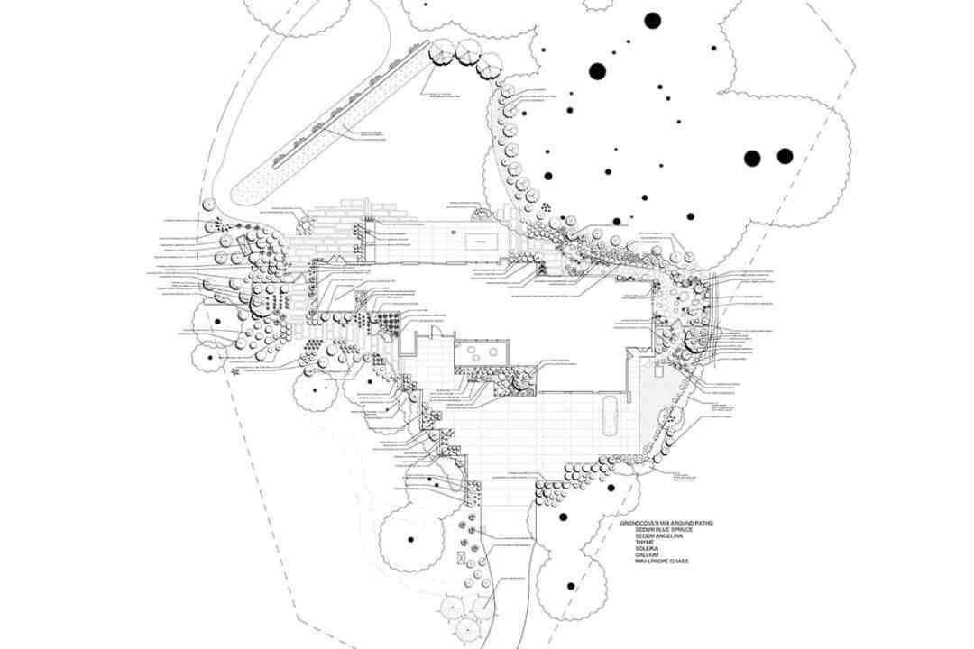 Aerial landscape plan with infinity lawn, poured concrete path, and plantings - 7 Dees Landscaping