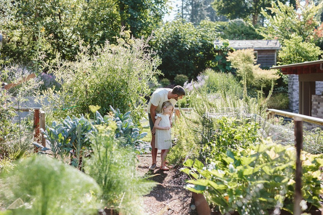 father and daughter in vegetable garden
