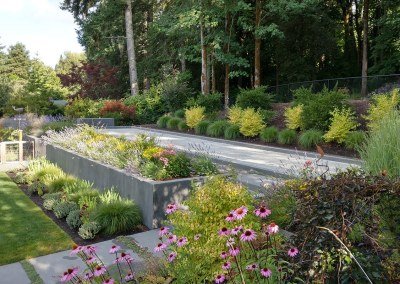 residential landscape plantings and bocce ball court