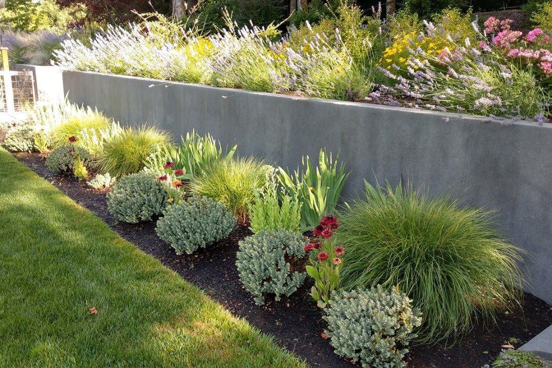 residential landscape border plantings and retaining wall