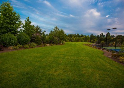 large lawn area in landscape design