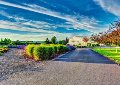 perennial plants and pathways in landscape