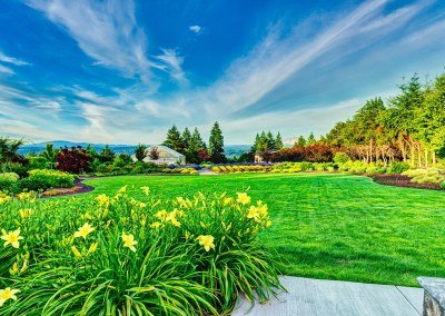 daffodils and sprawling lawn with mountain view