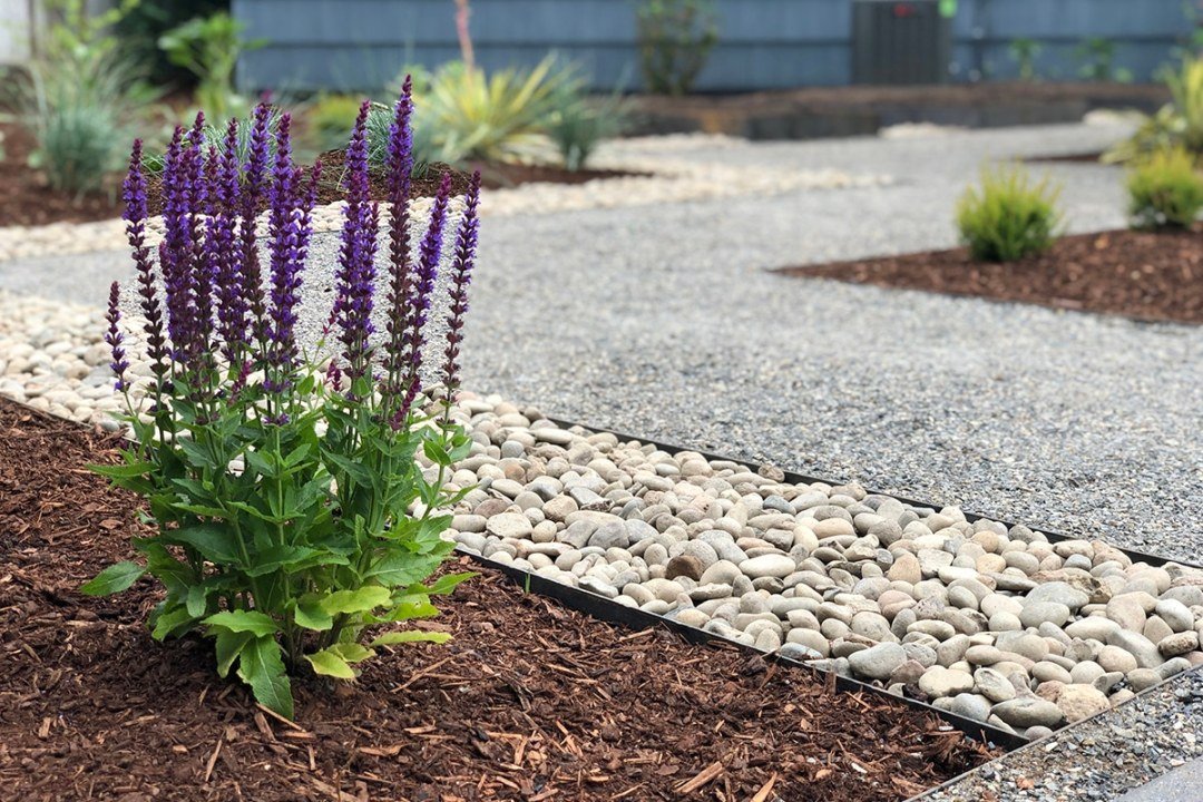 mulch stone gravel walkway with plants