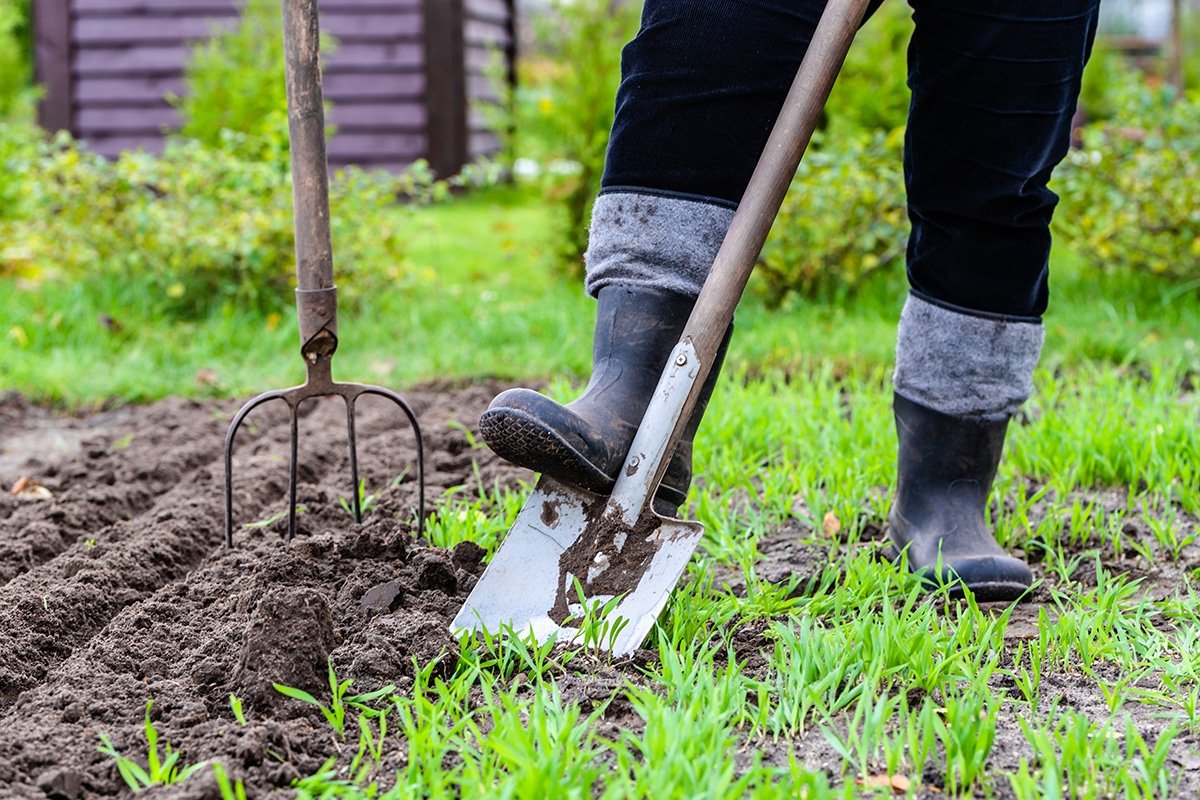 garden soil health