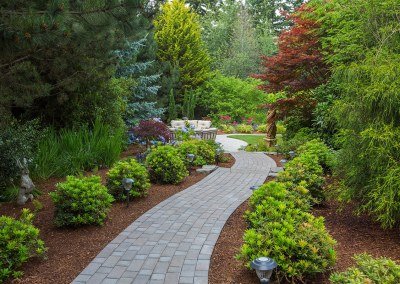 paved pathway surrounded by plants