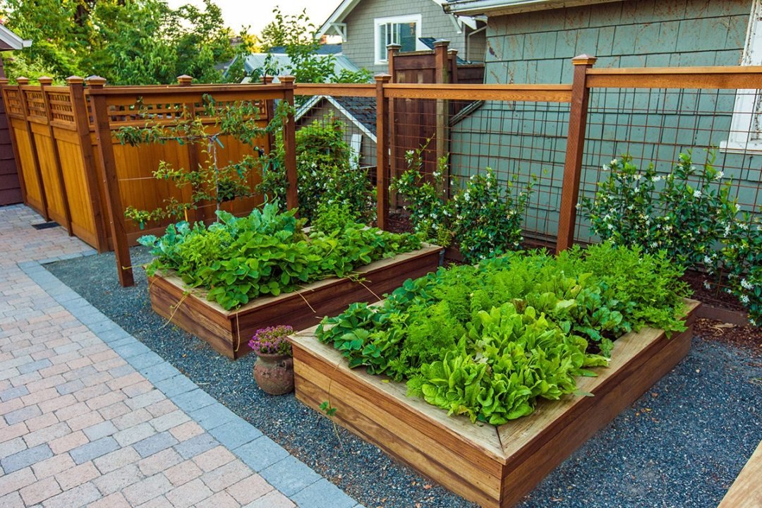 Raised garden beds with plants and climbing vines - by Dennis' 7 Dees