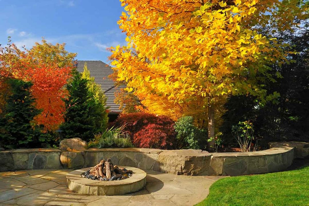 Outdoor firepit on paver patio with wall and grass - by Dennis' 7 Dees