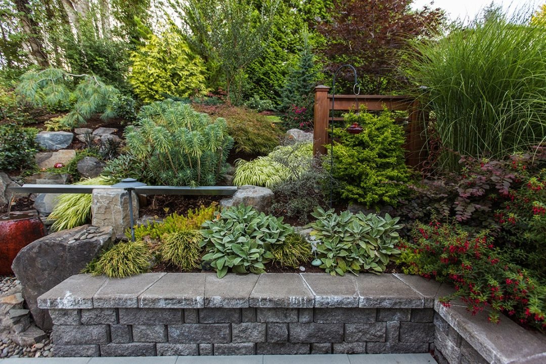 Lush green plantings on a slope with a retaining wall Round patio with firepit and retaining wall Jasmine vine growing vertically on a trellis - by Dennis' 7 Dees