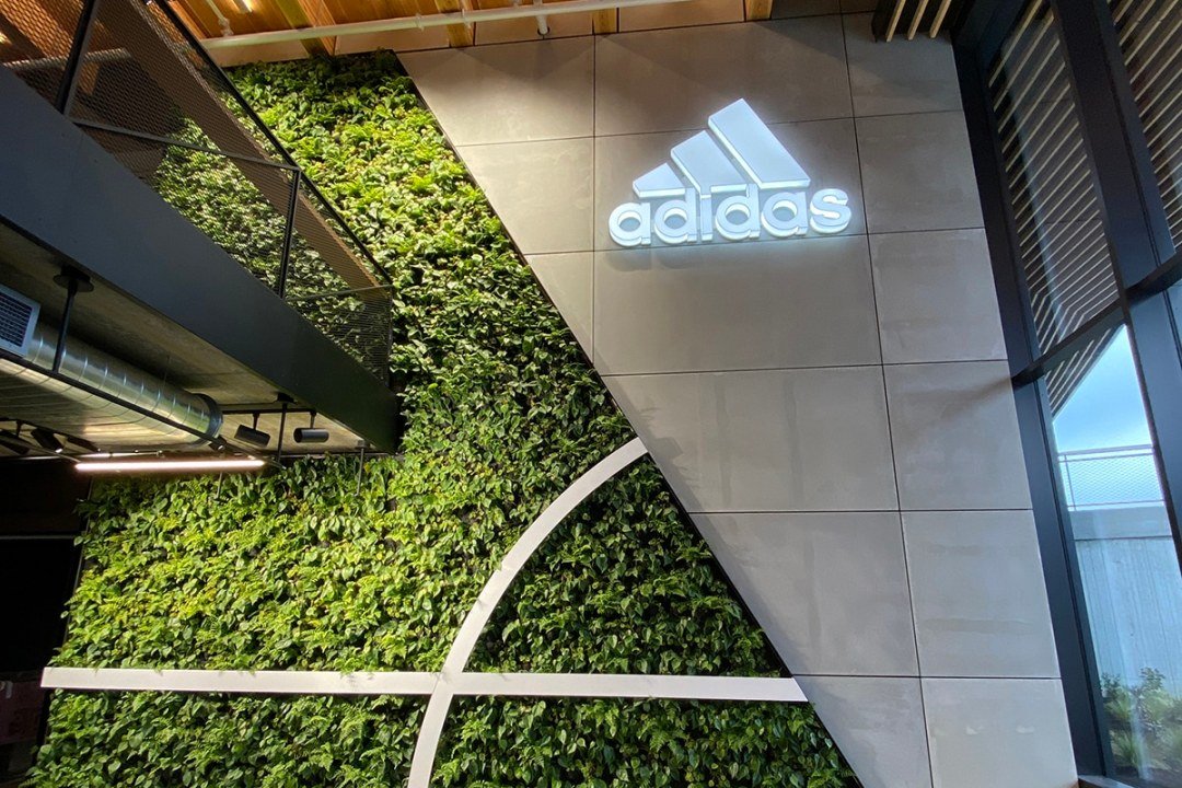 living wall closeup