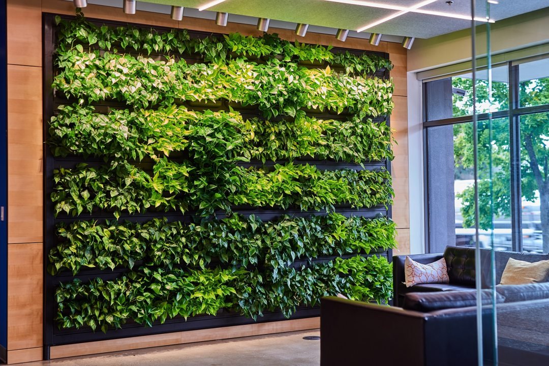 Lush green living wall in a lobby, designed by Urban Plantscapes of 7 Dees