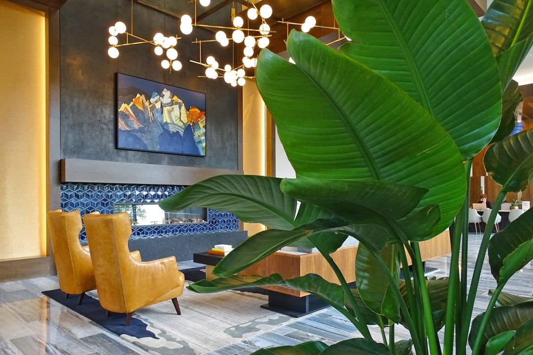 Urban Plantscapes Commercial Plant Installation