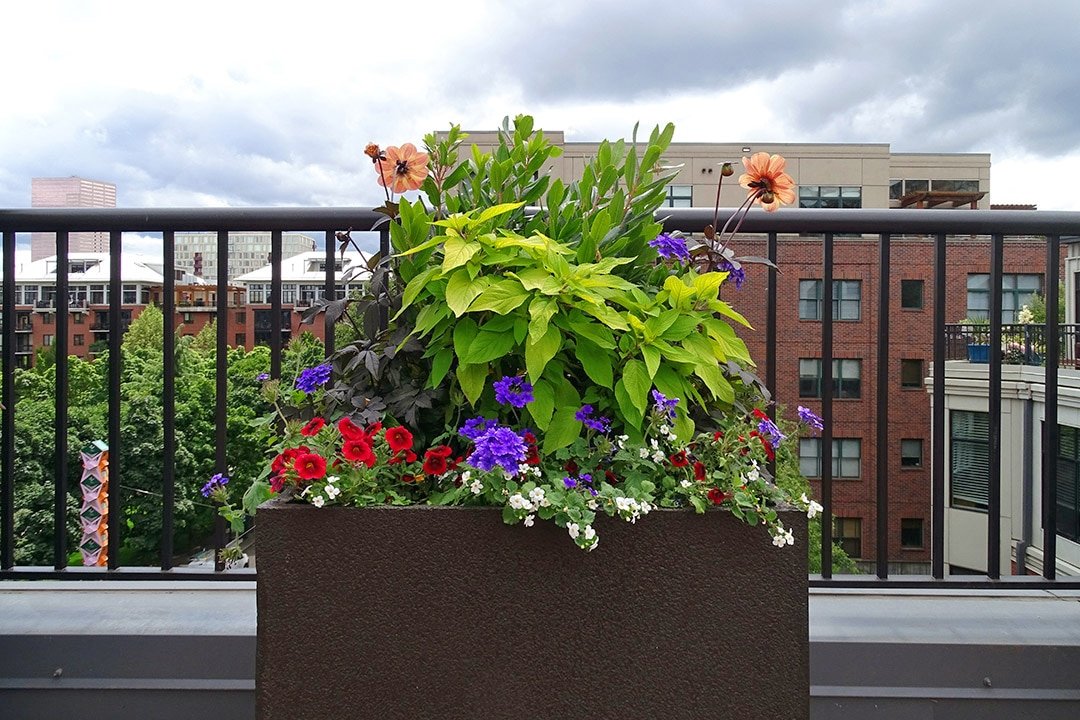 Urban Plantscapes Exterior Container Plants