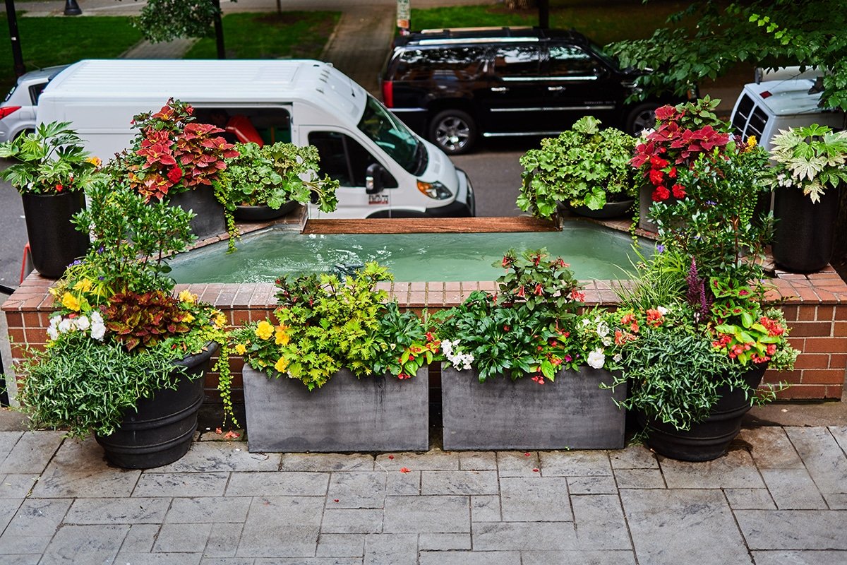 Urban Plantscapes Exterior Container Plants