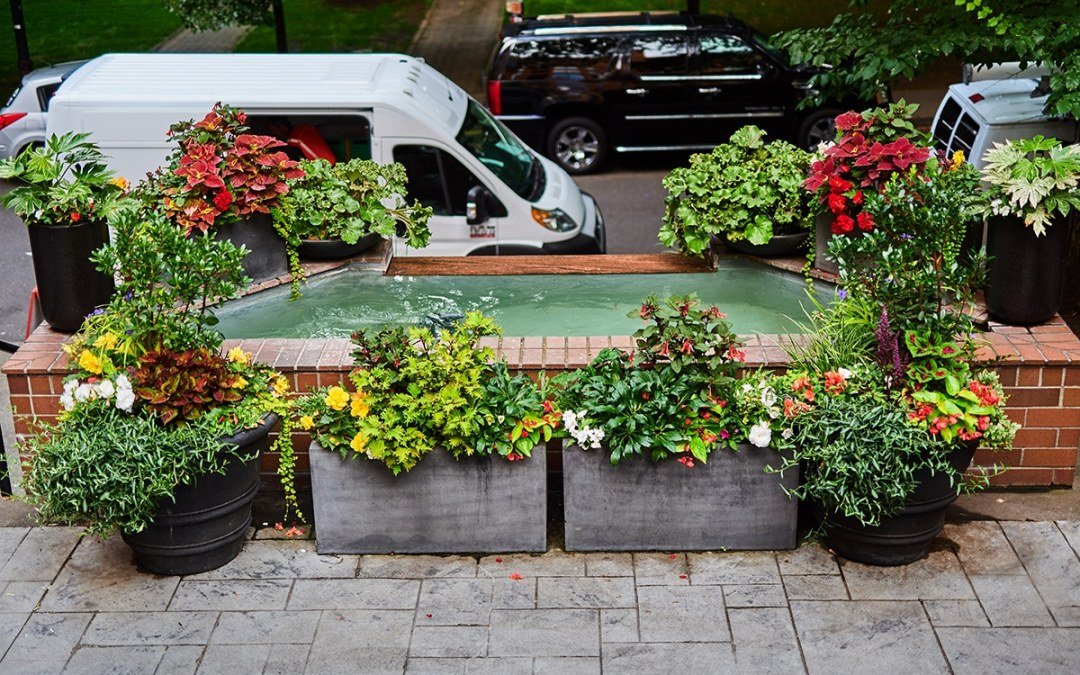 Urban Plantscapes Exterior Container Plants