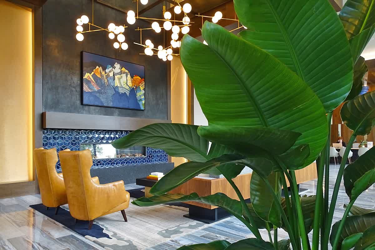 tropical plants in foyer lobby by Dennis' 7 Dees of Urban Plantscapes