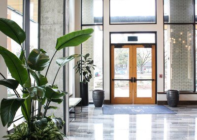 Urban Plantscapes Hospitality Plants