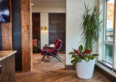 Urban Plantscapes Hospitality Plants
