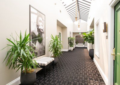 Urban Plantscapes Hospitality Plants
