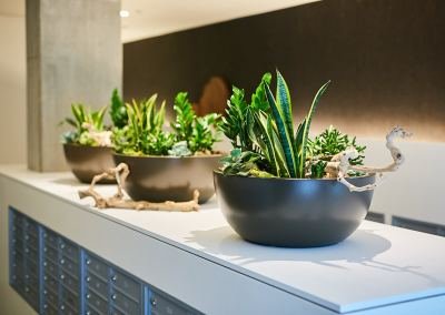 Urban Plantscapes Hospitality Plants