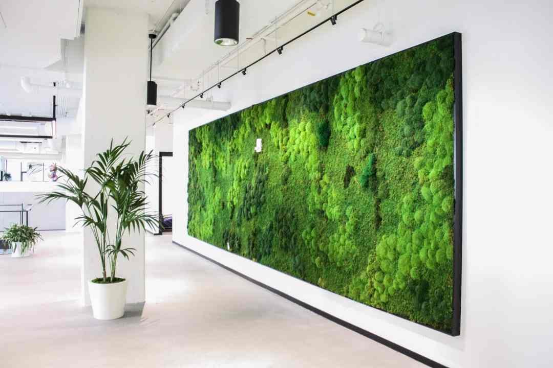 moss art