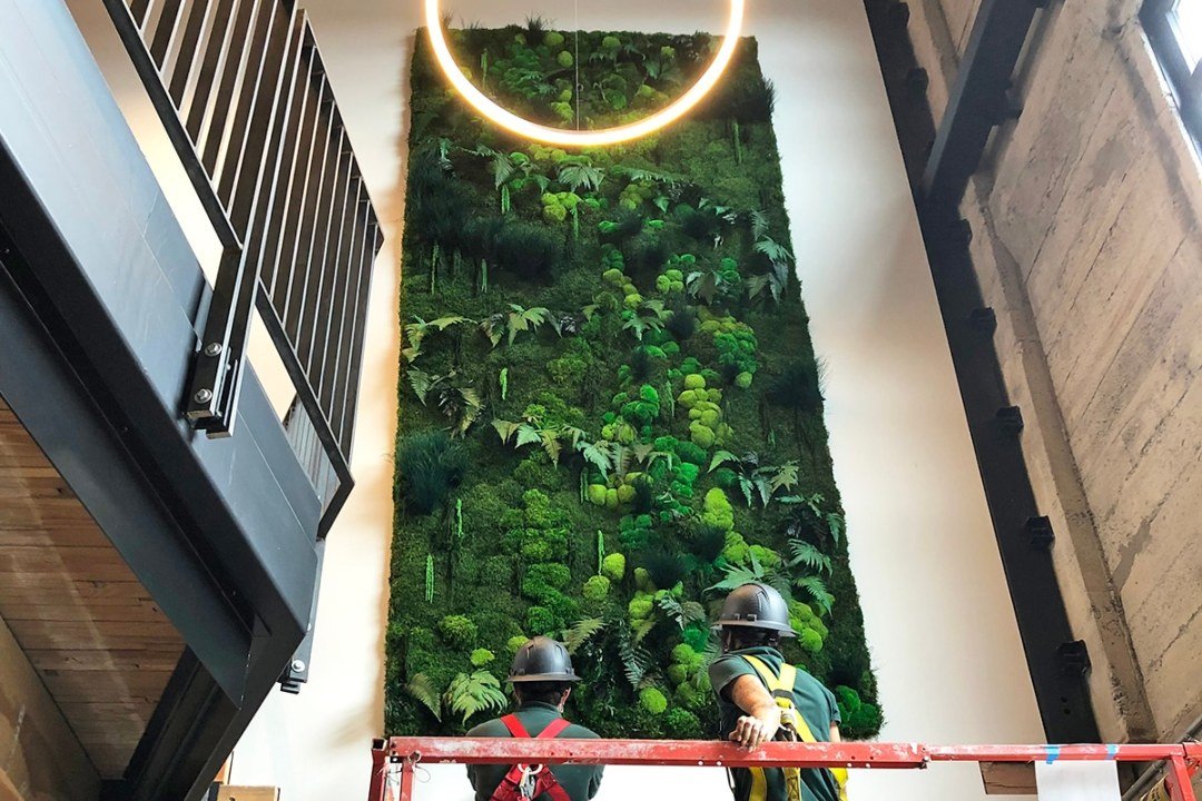 moss art