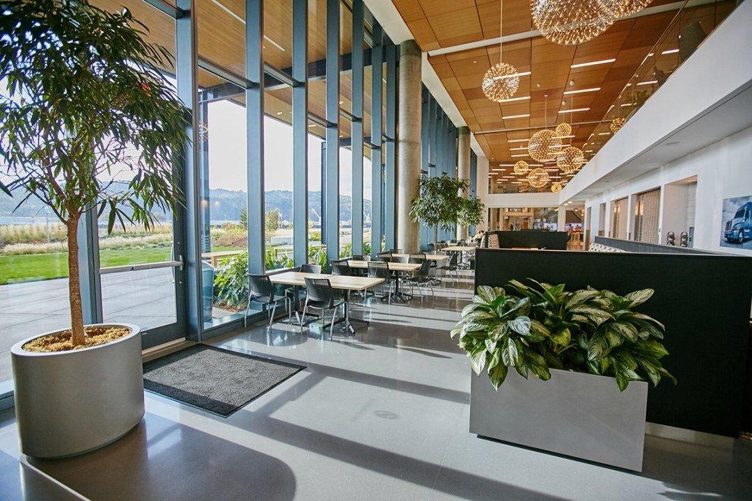 Plants with communal seating in open commercial office space by Urban Plantscapes
