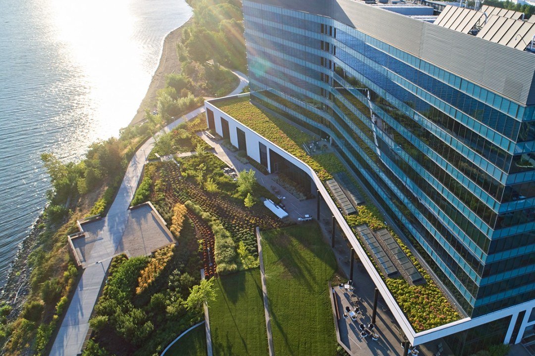 Commercial Landscaping Green Roof and Lawn by Dennis' 7 Dees Landscaping Portland