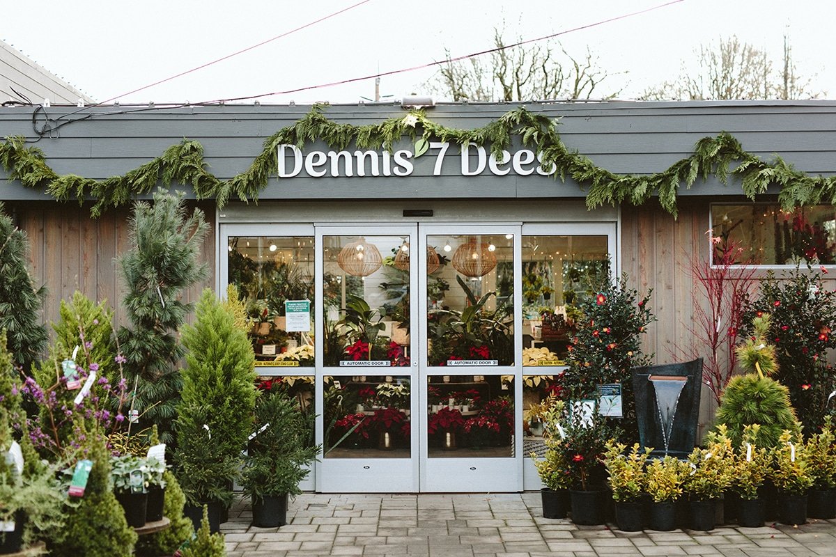 Winter plants & holiday decor at the Lake Oswego Garden Center of Dennis' 7 Dees