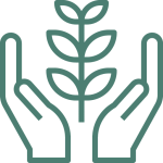 growth icon
