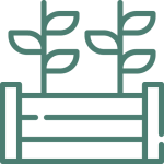 Raised Beds