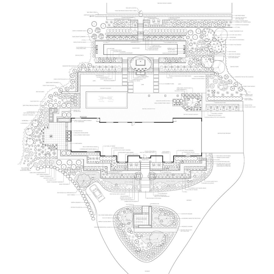 Aerial landscape plan with house, retaining walls and slope, and pool with many plants represented, designed by 7 Dees