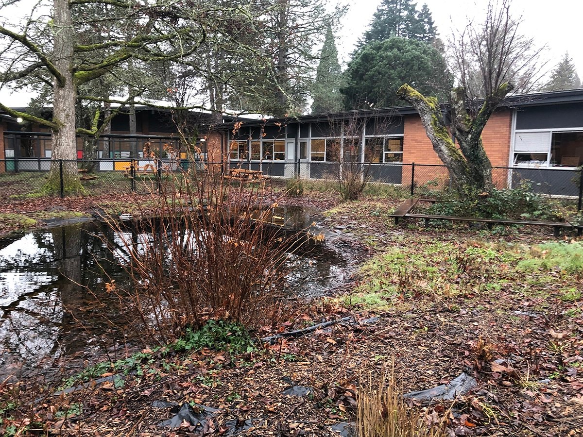 Lewelling Elementary landscaping project before photo