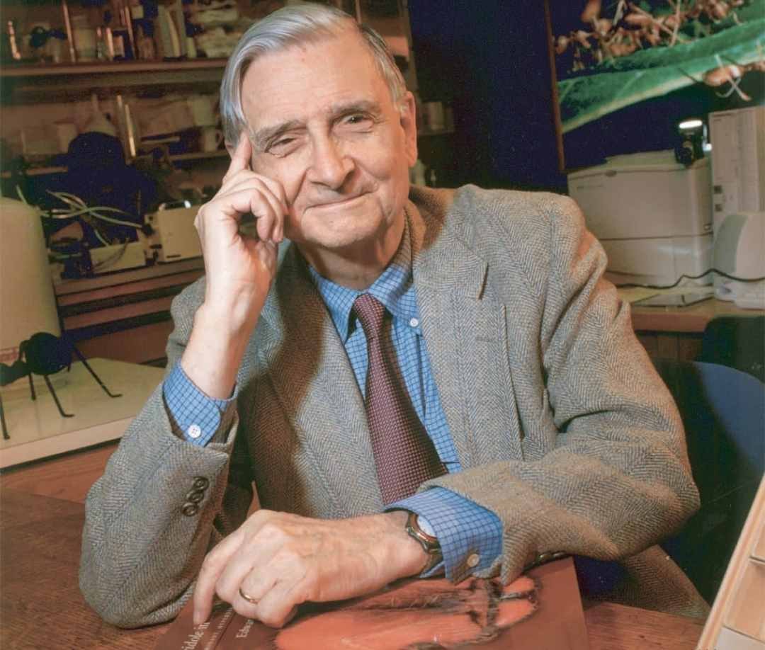 Photo of Biologist Edward Osborne Wilson by Jim Harrison