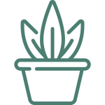 houseplant icon