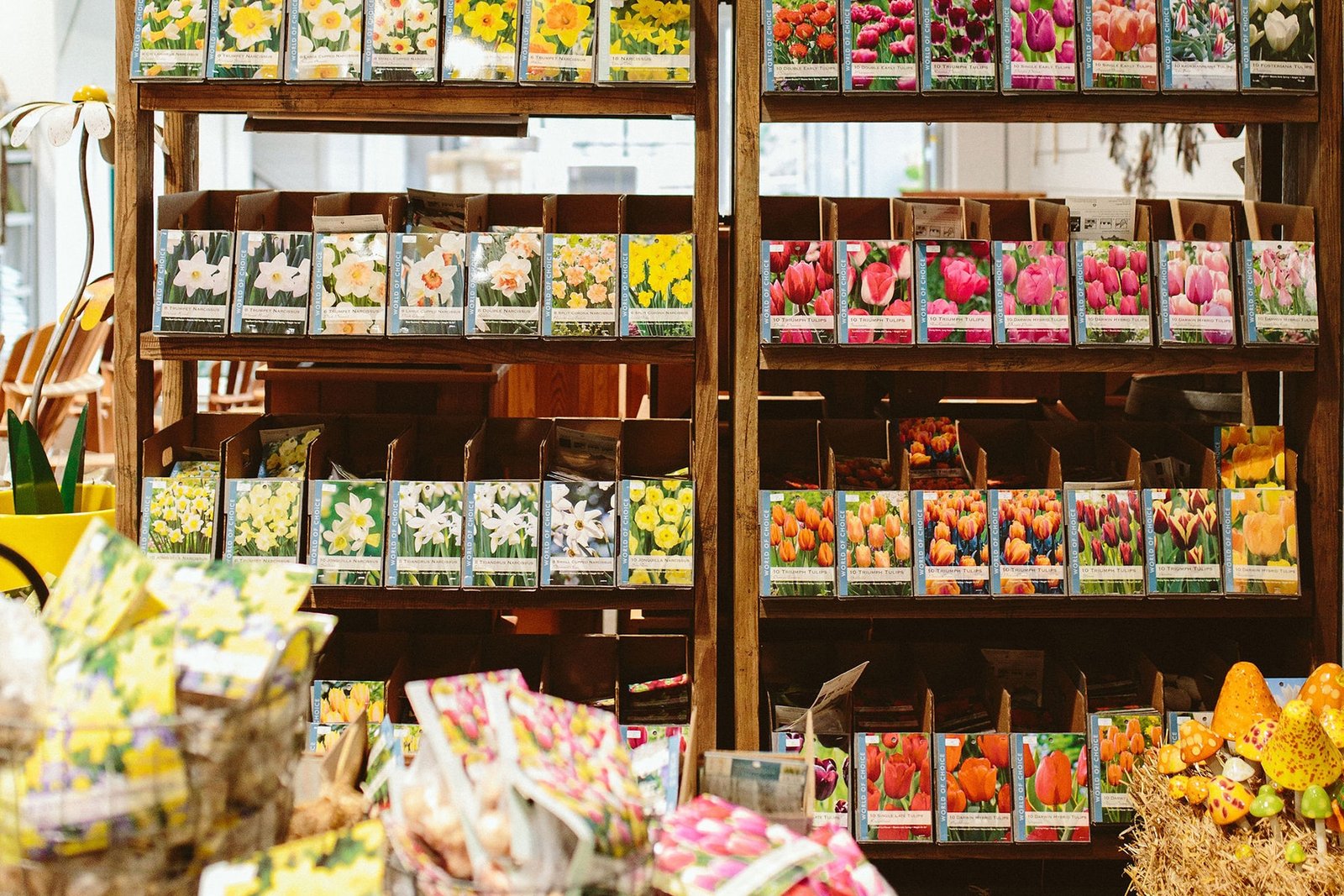 Spring-Flowering Bulbs displayed at Dennis' 7 Dees Garden Center in Lake Oswego